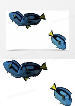 鱼漫画,趣味横生的海洋故事